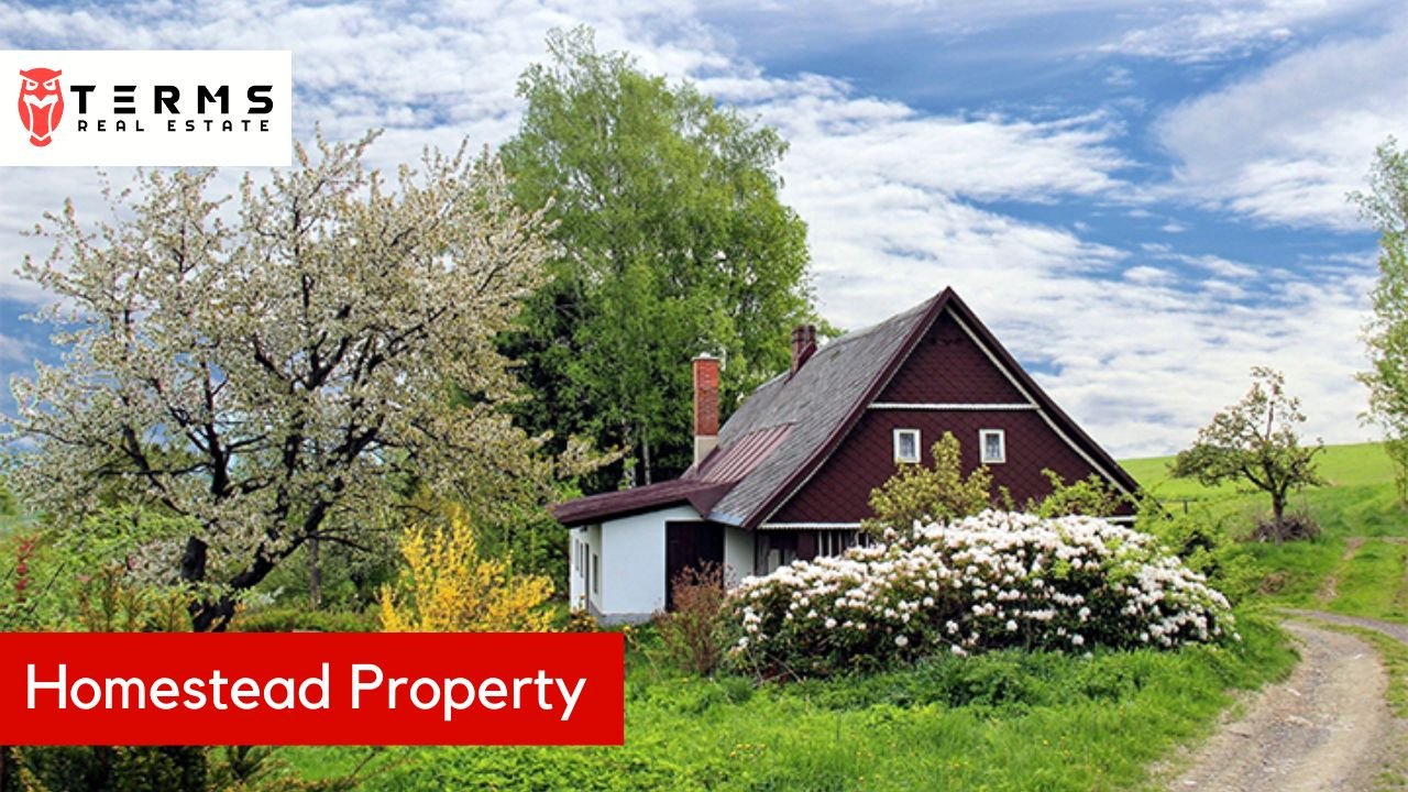 Understanding Homestead Property and What it Means for You - Terms Real Estate